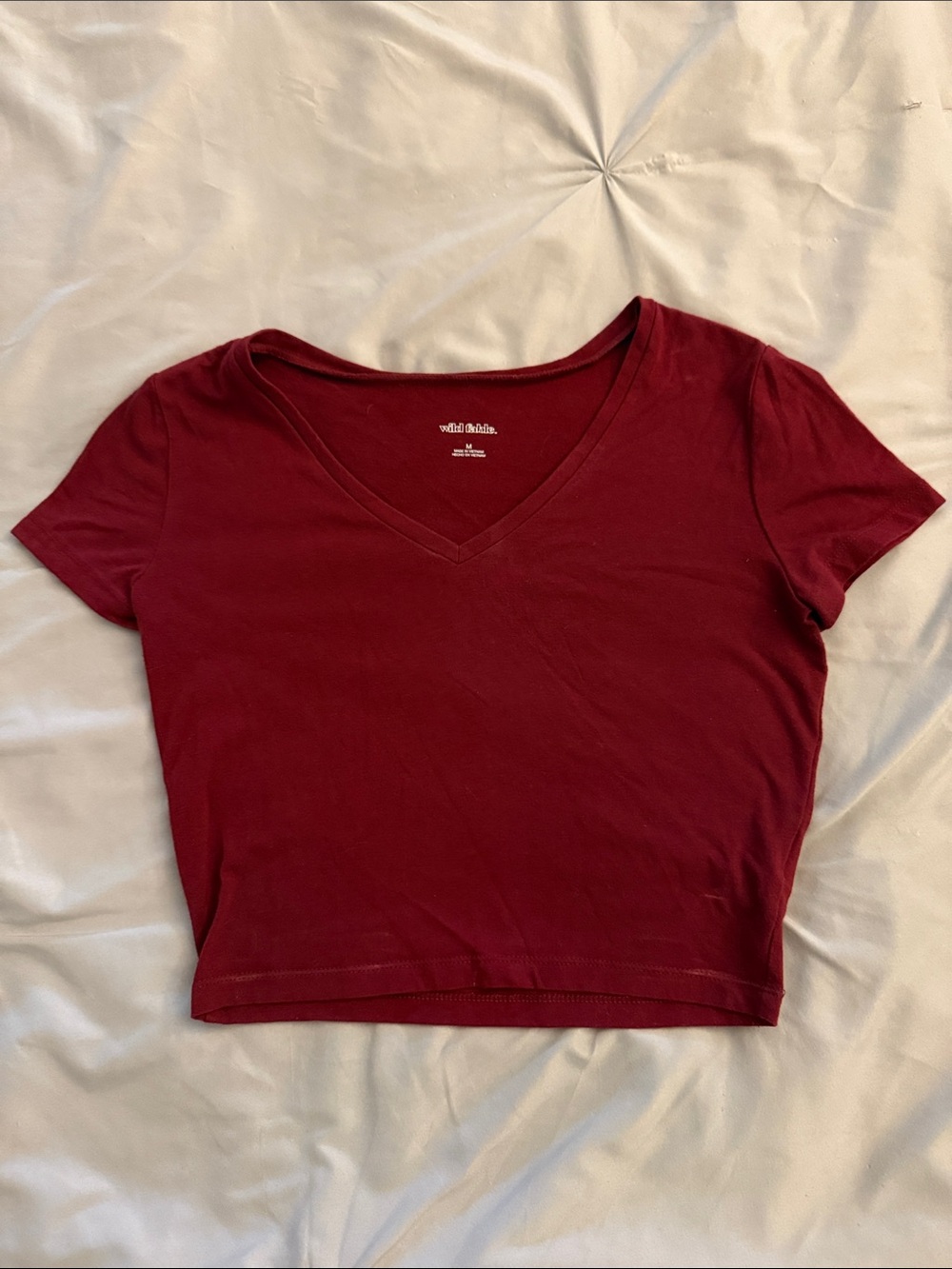 wild fable Burgundy V-Neck Crop Tee